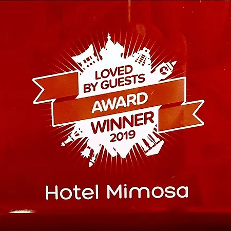 Mimosa Hotel 3*