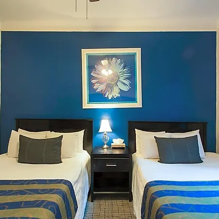 Hostel Royal Park