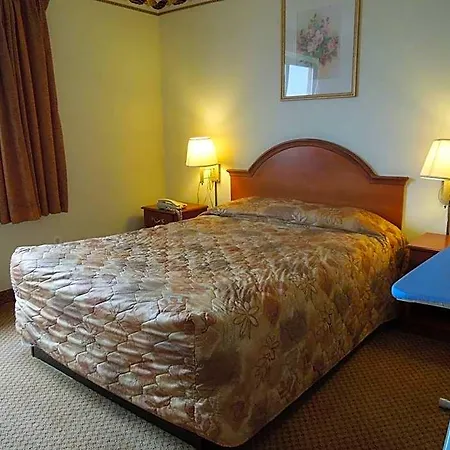 Motel Red Carpet Brooklyn New York