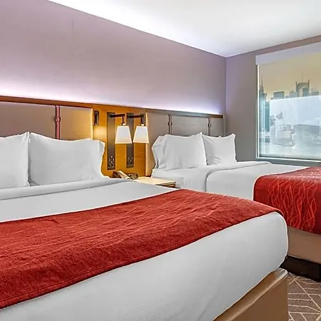 Sheraton Jfk Airport Hotel New York