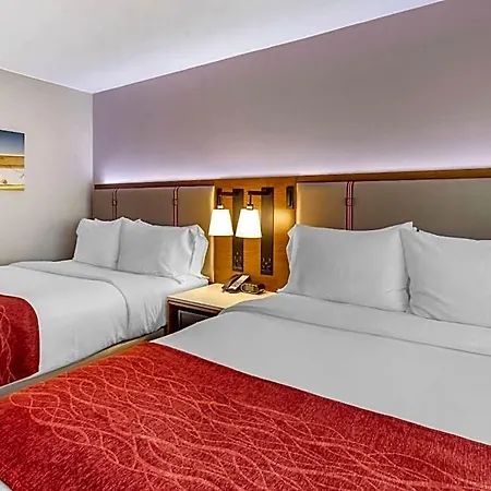 Sheraton Jfk Airport
