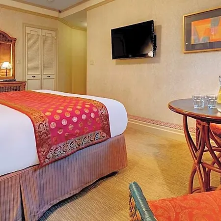 Hotel Casablanca By Library Collection New York