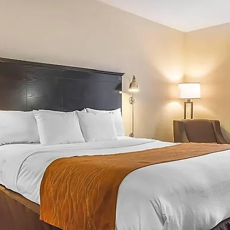 Comfort & Laguardia Airport Hotel 4*