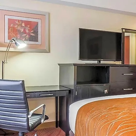 Comfort & Laguardia Airport New York