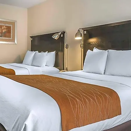 Hotel Comfort & Laguardia Airport New York