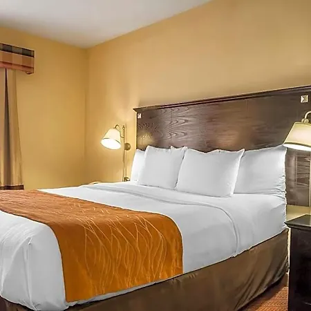 Comfort & Laguardia Airport 4* New York