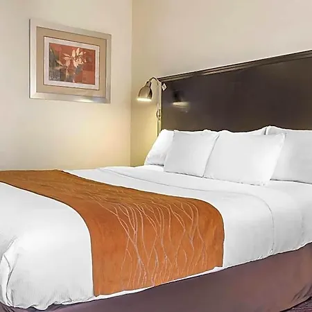 Hotel Comfort & Laguardia Airport 4*
