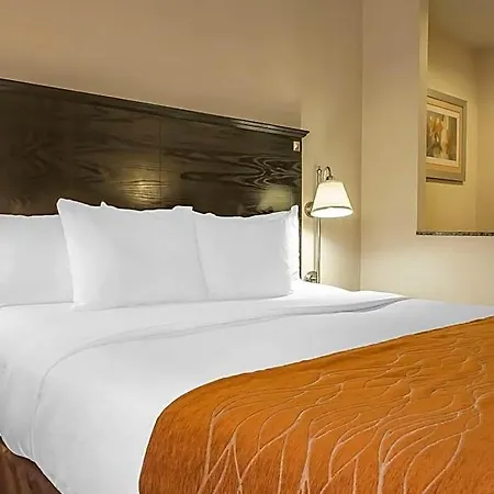Comfort & Laguardia Airport Hotel 4*