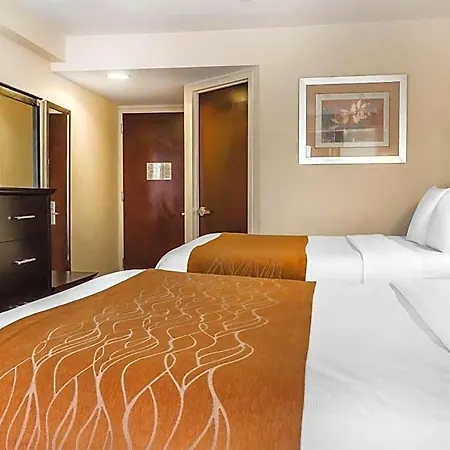 Comfort & Laguardia Airport 4*
