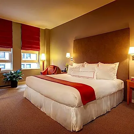 Hotel Giraffe By Library Collection