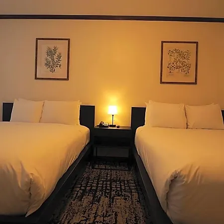 Night Broadway Hotel New York