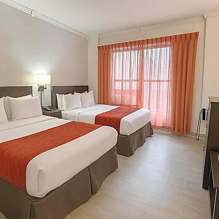 Comfort Chelsea Hotel 2*