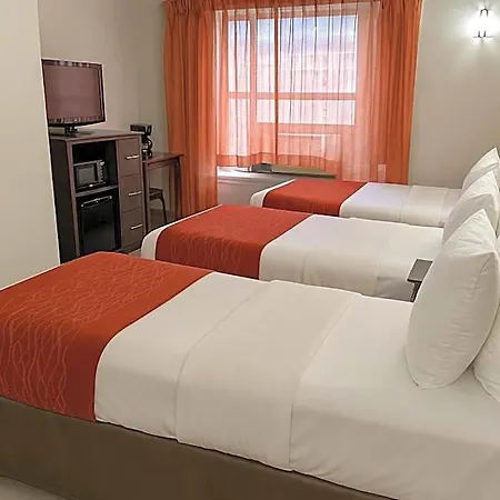 Hotel Comfort Chelsea