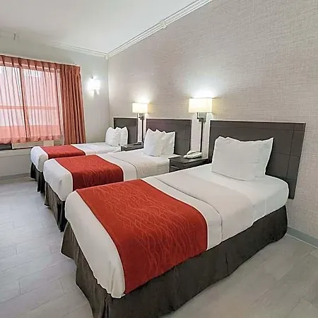 Comfort Chelsea 2* New York