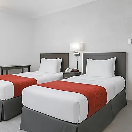 Hotel Comfort Chelsea
