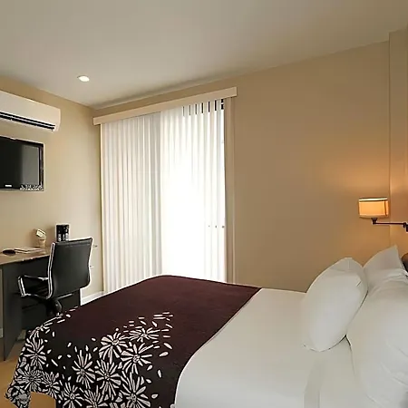 Vetiver / Manhattan Skyline Hotel