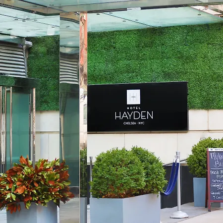Hayden 4* New York