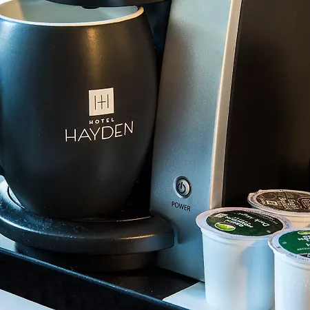 Hayden 4* New York