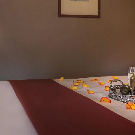 Hotel Giraffe By Library Collection