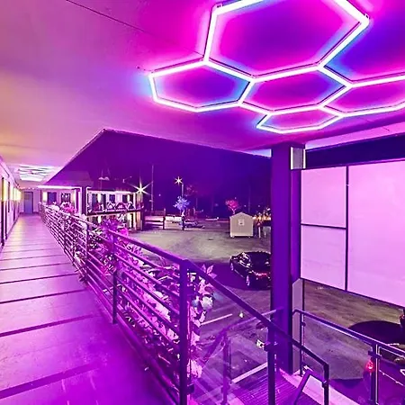 Opus Bronx New York