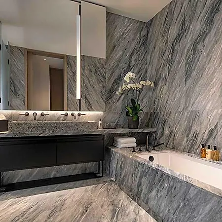 Hotel The Ritz-carlton New York, Nomad New York