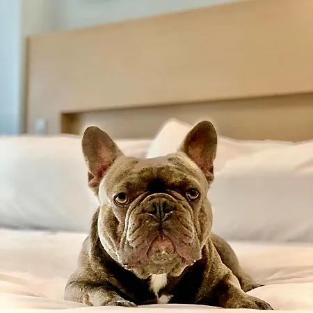 Hotel Wingate By Wyndham Bronx Haven Park New York