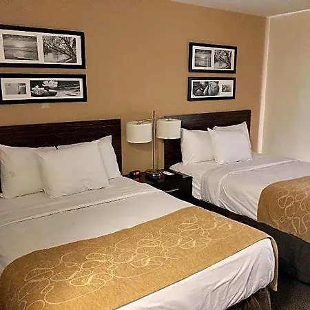 The Vue Brooklyn 2*