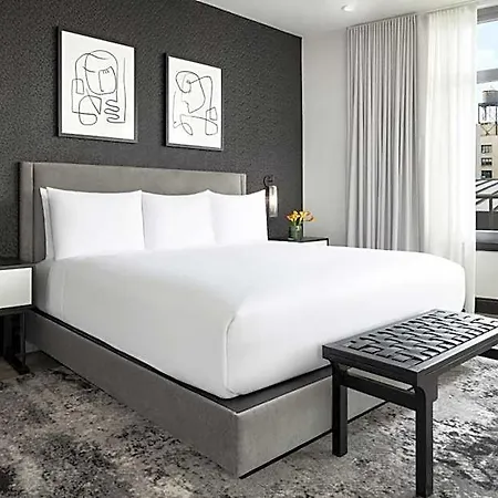 Hotel Arthouse