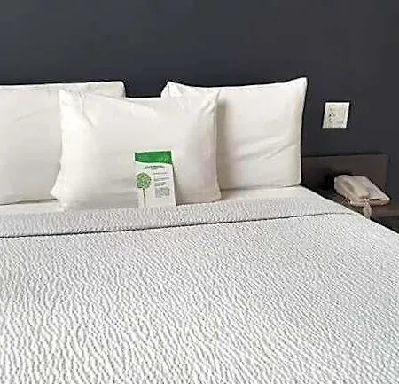 Hotel Feather Factory New York
