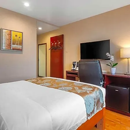 The L Hotel 3*