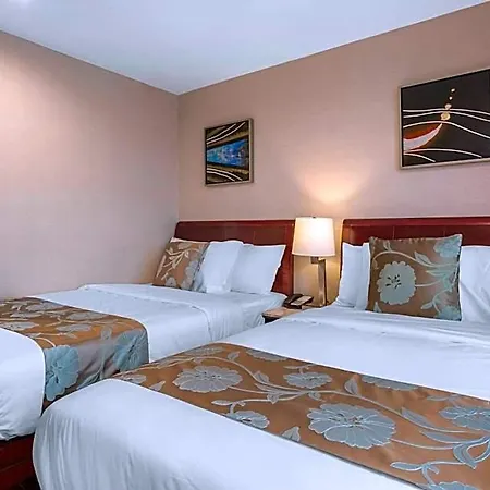 Hotel The L 3*