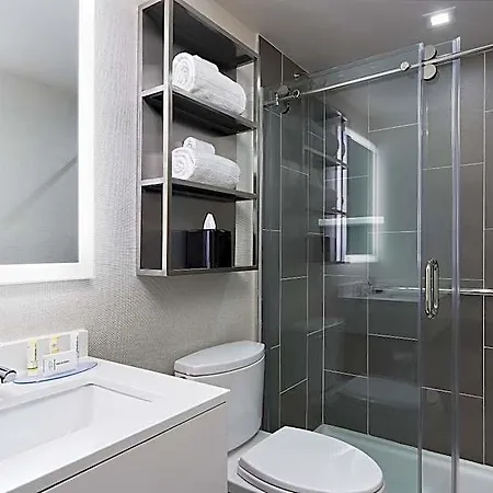Hotel Towneplace By Marriott Manhattan/times Square 3*
