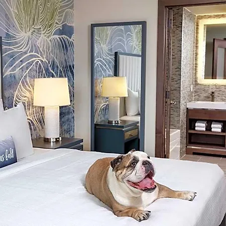 Hotel Indigo Flushing - Laguardia By Ihg