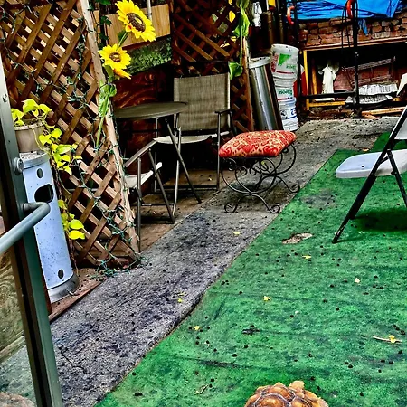 The Brooklyn Riviera Hostel