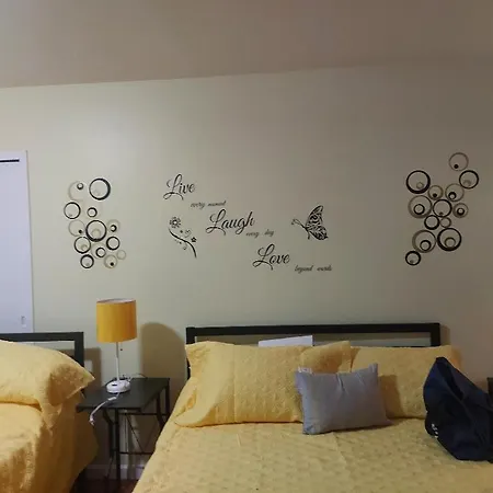 Guest house Beautiful Place In Forest Hills Next To All