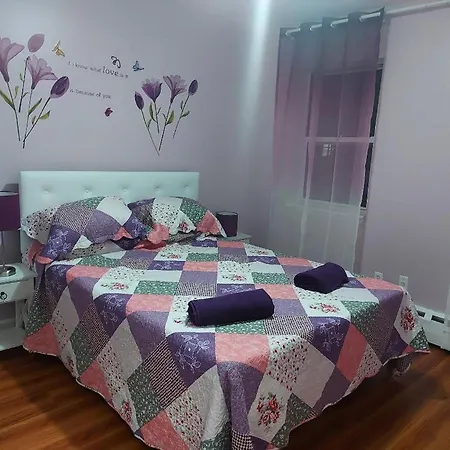 Guest house Beautiful Place In Forest Hills Next To All
