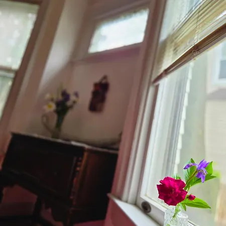 Homestay A Private 15 Min From Manhattan New York