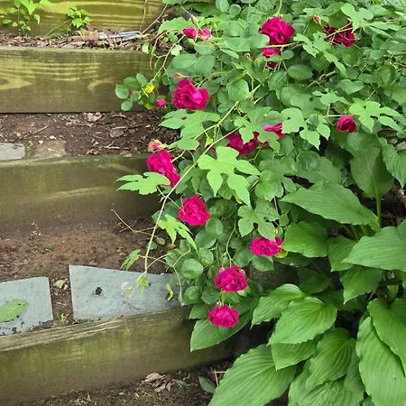 Homestay A Private 15 Min From Manhattan