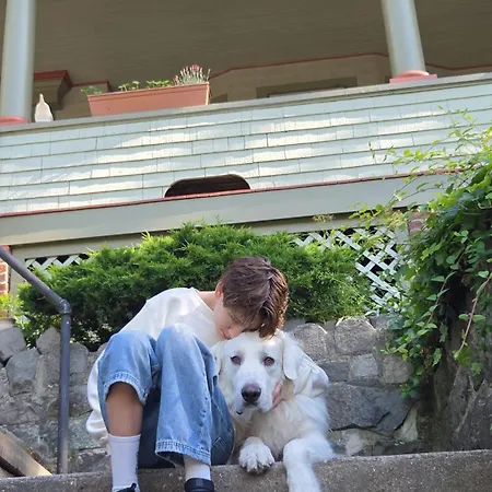 A Private 15 Min From Manhattan Homestay New York