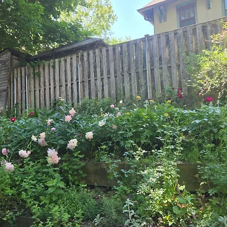 Homestay A Private 15 Min From Manhattan