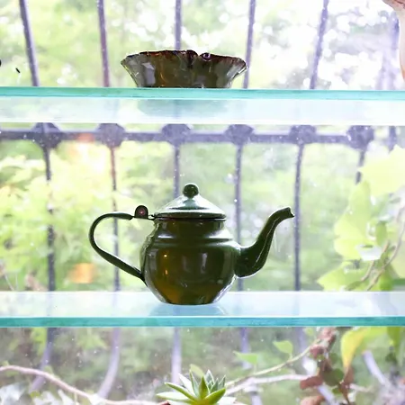 Lovely Brownstone In W Harlem 4 Bdr 3 Bath Garden New York