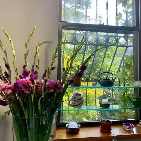 Lovely Brownstone In W Harlem 4 Bdr 3 Bath Garden * New York