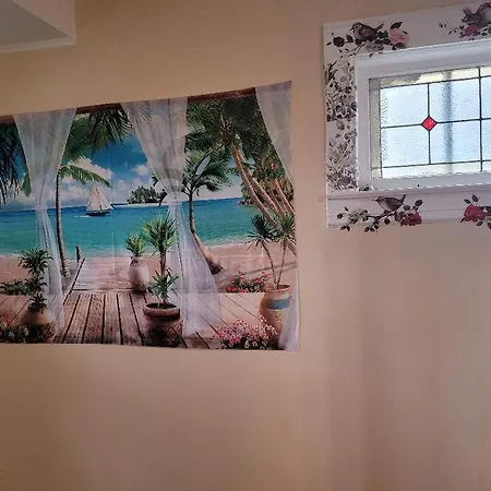 Apartment Large Place With Backyard New York