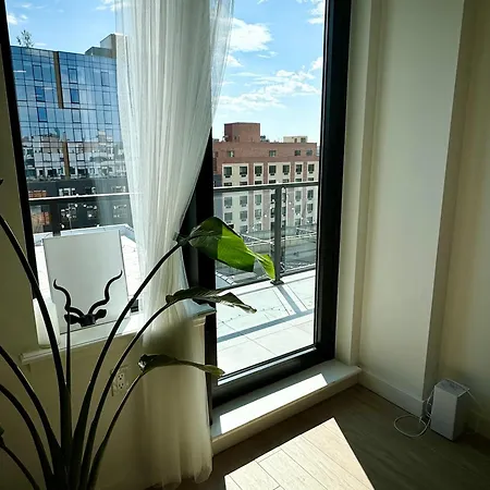 Apartment Convenient Spacious Bright New Modern Penthouse 3br2ba Balcony *