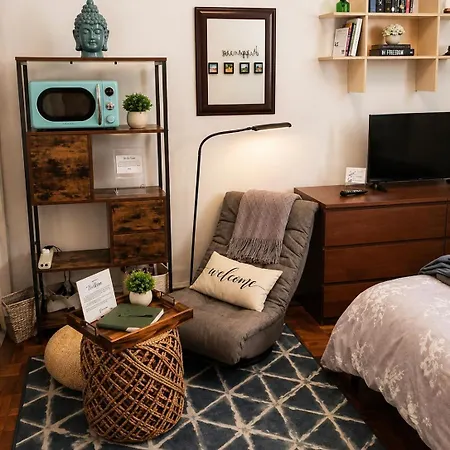 Stylish Private Br Near Manhattan - Astoria Nyc Apartment New York