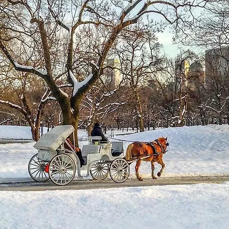 - Near Park Apartment *