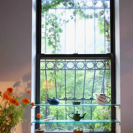 Lovely Brownstone In W Harlem 4 Bdr 3 Bath Deck Garden Apartment