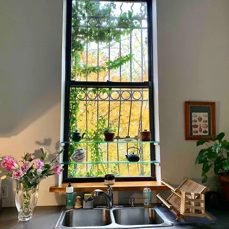 Lovely Brownstone In W Harlem 4 Bdr 3 Bath Deck Garden * New York