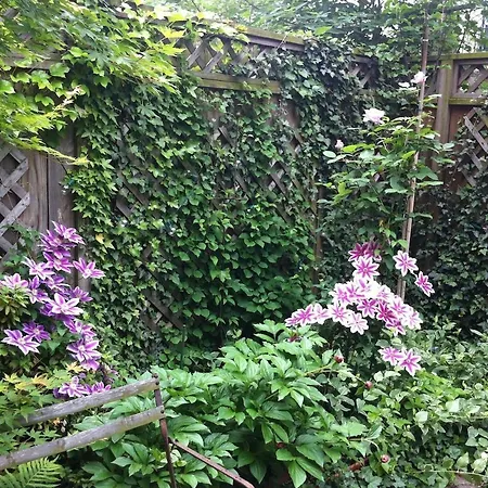 Lovely Brownstone In W Harlem 4 Bdr 3 Bath Deck Garden Apartment New York