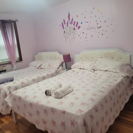 Large 4 Bedrooms 2 Baths In Rego Park Apartment New York